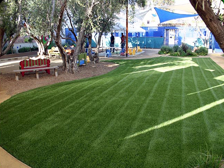 Installing Artificial Grass Leona Valley, California Garden Ideas, Commercial Landscape