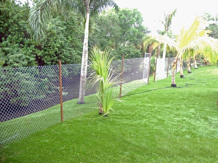 Lawn Services Hermosa Beach, California Home And Garden, Backyard Landscape Ideas