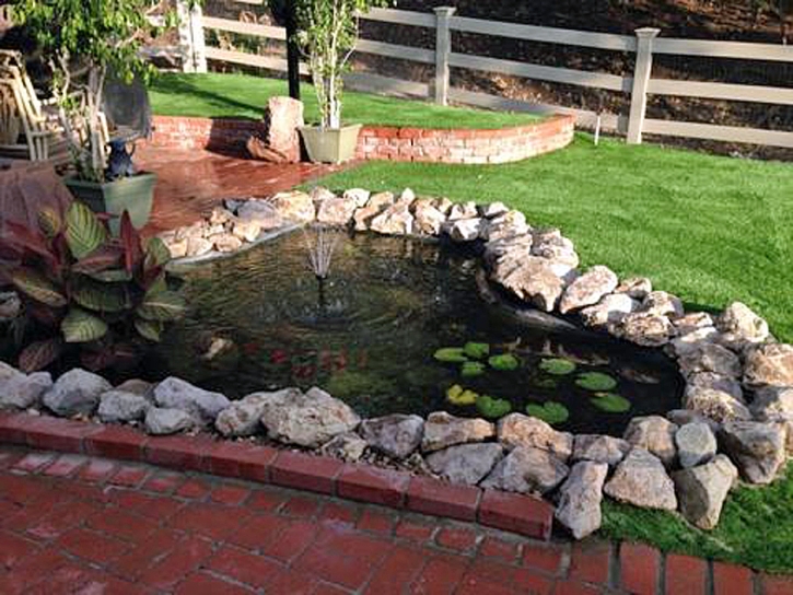 Lawn Services Placentia, California Landscaping, Backyards