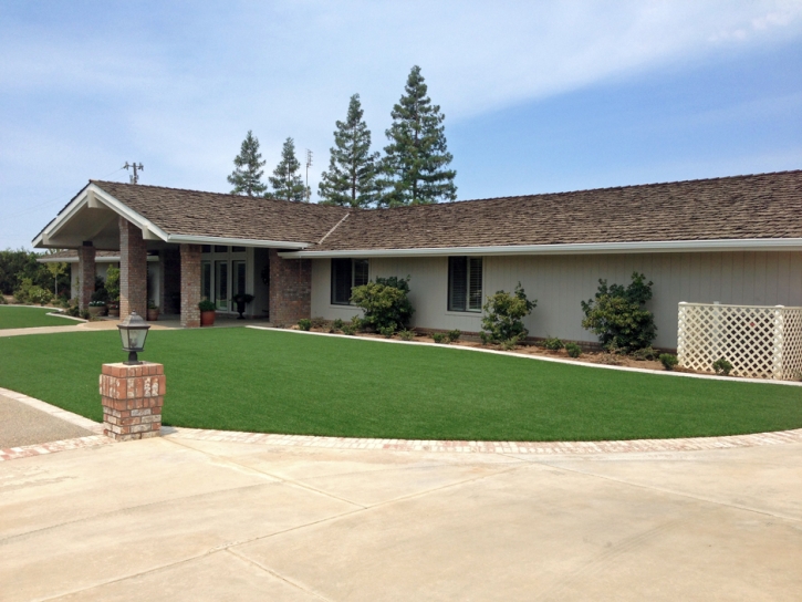 Lawn Services San Pedro, California Home And Garden, Front Yard Landscaping