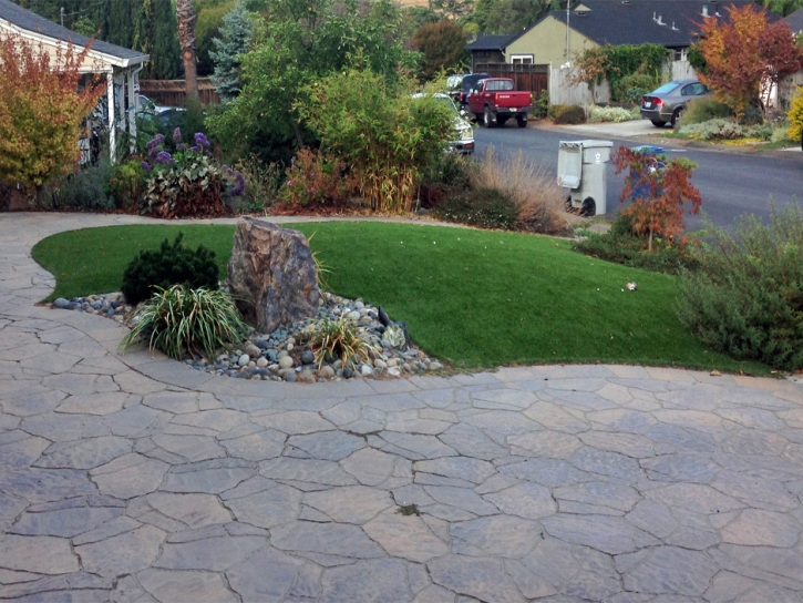 Outdoor Carpet Calexico, California Landscaping, Front Yard Ideas