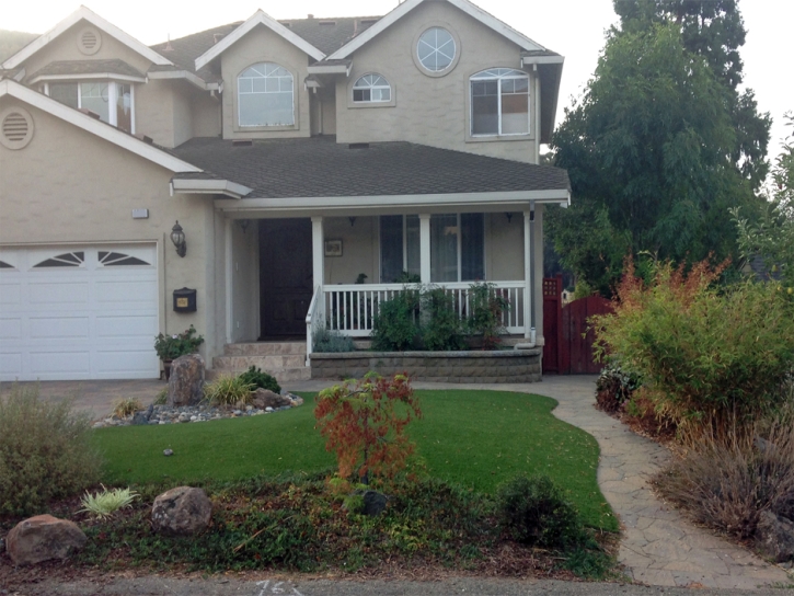 Outdoor Carpet Claremont, California City Landscape, Front Yard Landscaping Ideas