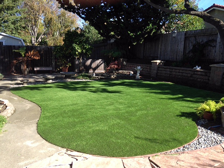 Outdoor Carpet Hermosa Beach, California Landscape Ideas, Backyard Ideas