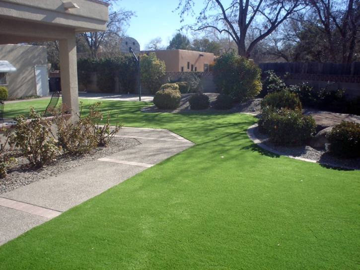 Outdoor Carpet , Landscaping, Front Yard