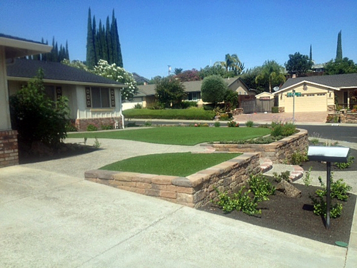 Outdoor Carpet Mountain Mesa, California Lawns, Small Front Yard Landscaping