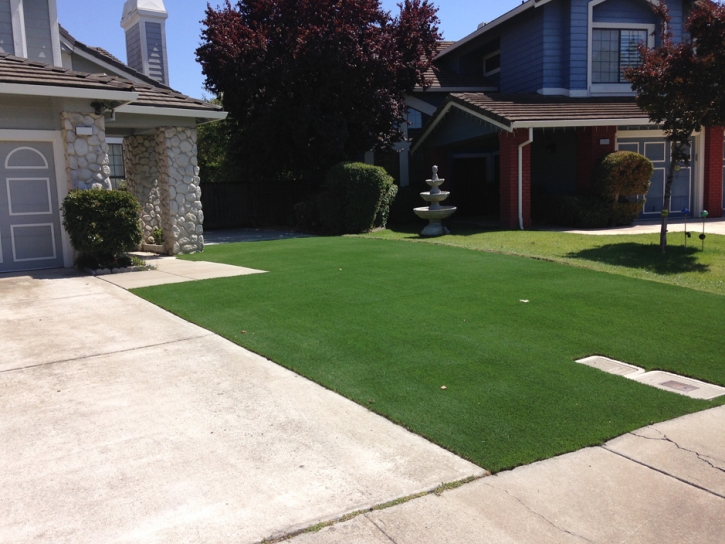 Outdoor Carpet Pomona, California Rooftop, Front Yard Ideas