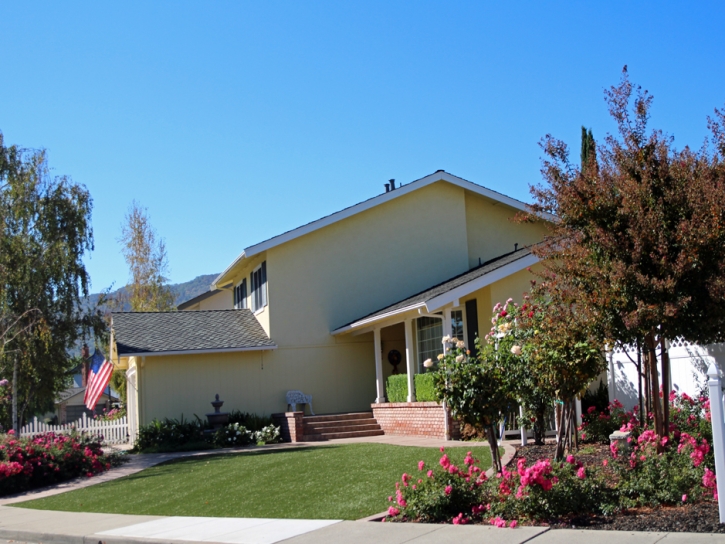 Outdoor Carpet San Juan Capistrano, California Landscape Rock, Front Yard Ideas