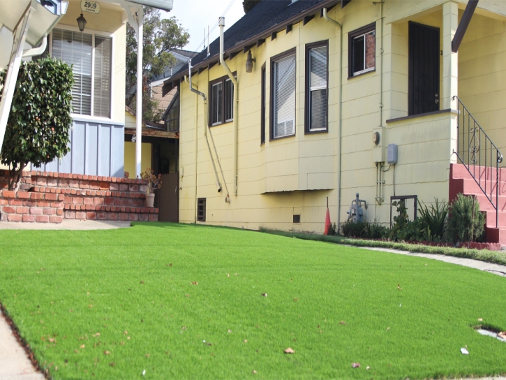 Outdoor Carpet South Whittier, California Roof Top, Front Yard Design