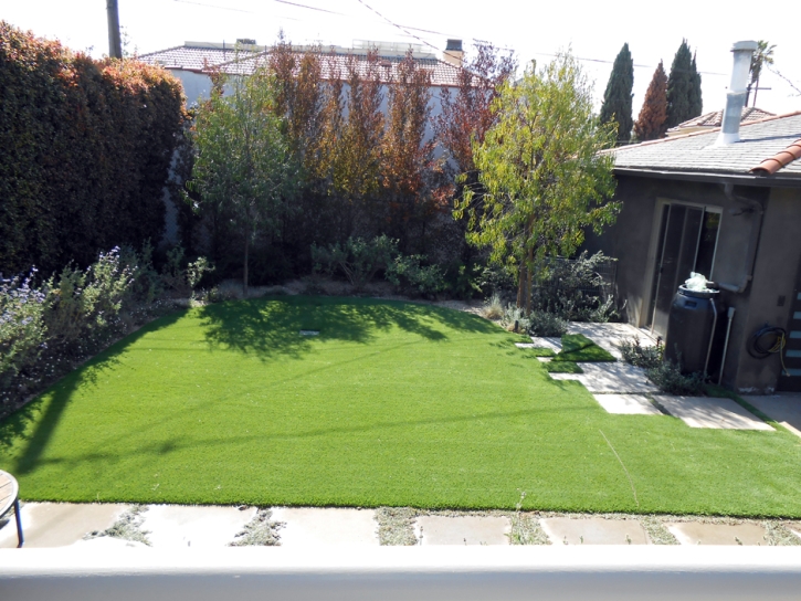 Outdoor Carpet Valley Center, California Landscaping Business, Backyard Landscape Ideas