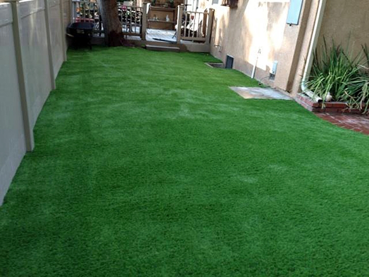 Outdoor Carpet Yorba Linda, California Landscaping Business, Backyard Landscape Ideas