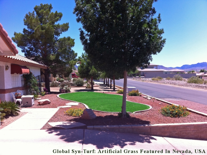 Plastic Grass , Backyard Playground, Front Yard Design