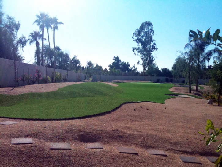 Plastic Grass East Los Angeles, California City Landscape, Small Backyard Ideas