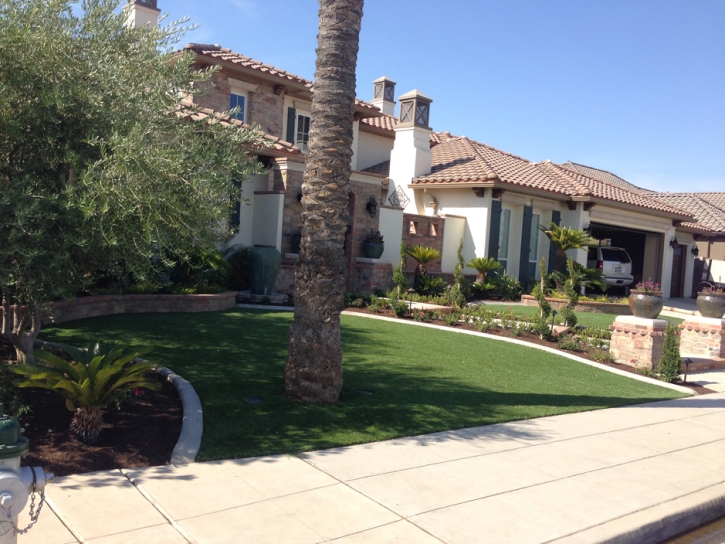 Plastic Grass Glen Avon, California Home And Garden, Front Yard Landscape Ideas