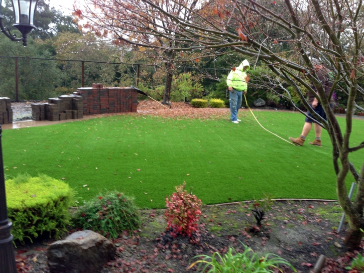 Plastic Grass Greenfield, California Rooftop, Backyard Makeover