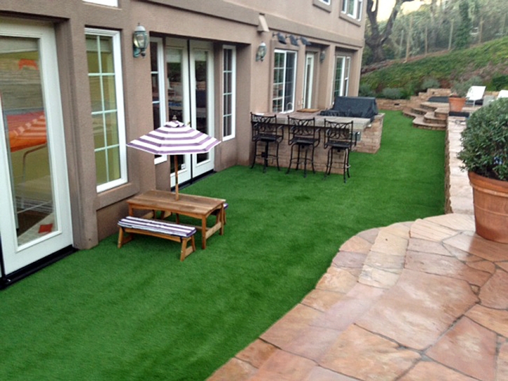 Plastic Grass Hawthorne, California Lawns, Backyard Designs