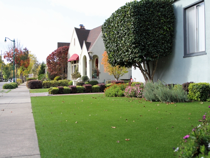 Plastic Grass La Puente, California City Landscape, Small Front Yard Landscaping