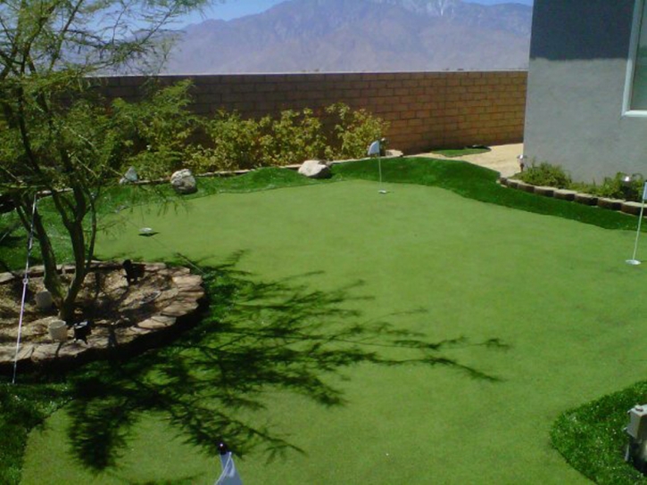 Plastic Grass Mentone, California Indoor Putting Greens, Backyard Landscaping