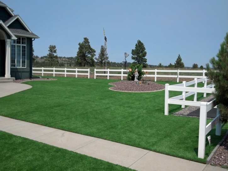 Plastic Grass North Hollywood, California Landscaping, Backyard Landscape Ideas