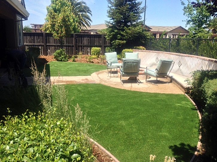 Plastic Grass Shafter, California Landscape Photos, Backyard