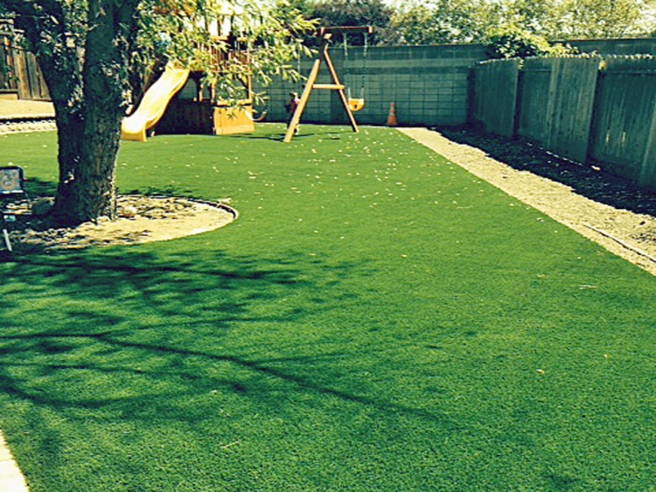 Plastic Grass Yucaipa, California Design Ideas, Backyard Makeover