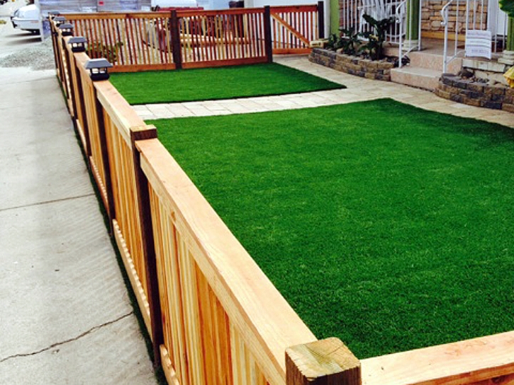 Synthetic Grass Adelanto, California Roof Top, Front Yard Landscape Ideas