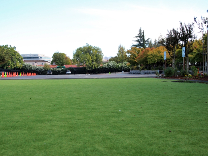 Synthetic Grass Bonita, California Playground Turf