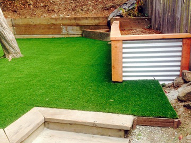 Synthetic Grass Chatsworth, California Design Ideas, Backyards