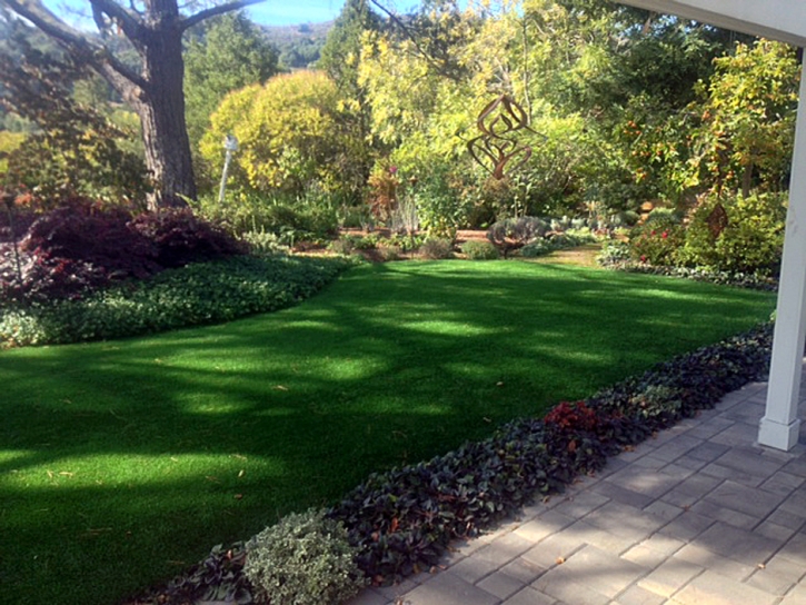 Synthetic Grass Cost Buellton, California City Landscape, Small Backyard Ideas