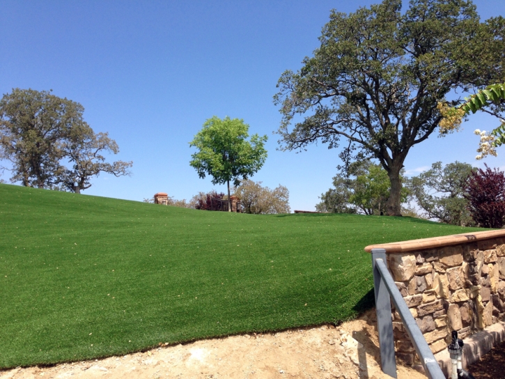 Synthetic Grass Cost Lakeland Village, California Backyard Playground, Front Yard