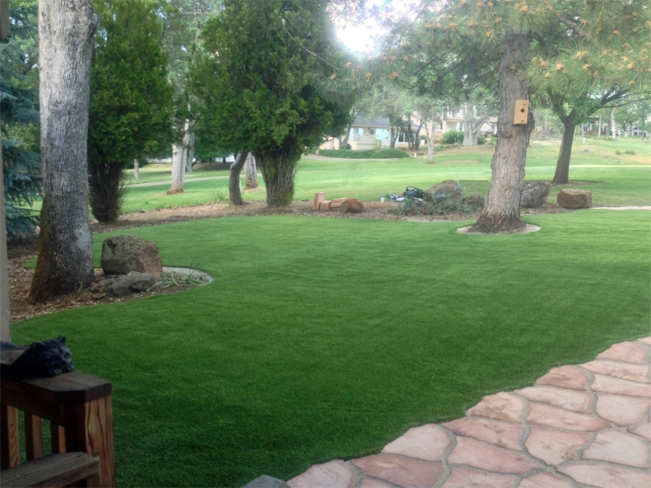 Synthetic Grass Cost Sedco Hills, California Landscaping Business, Front Yard