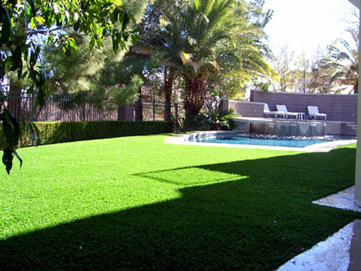 Synthetic Grass Earlimart, California Lawn And Garden, Backyard Pool