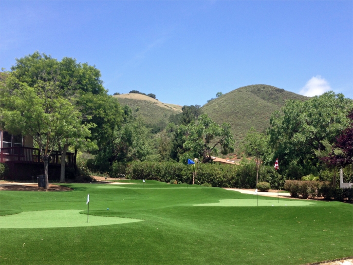 Synthetic Grass Home Gardens, California City Landscape, Front Yard