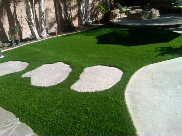 Synthetic Grass Lakewood, California Design Ideas, Backyard