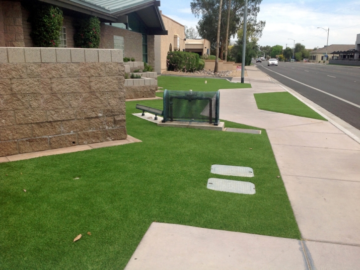 Synthetic Grass Lebec, California Backyard Playground, Front Yard