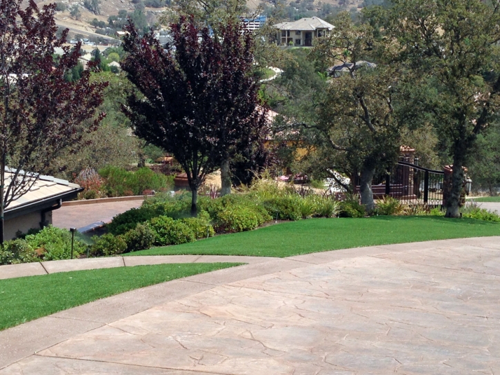 Synthetic Grass Mojave, California Landscaping Business, Front Yard Landscaping Ideas