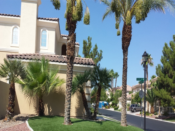 Synthetic Grass Murrieta Hot Springs, California Landscaping, Front Yard Ideas