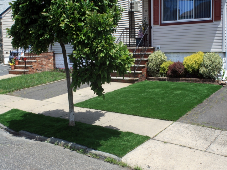 Synthetic Grass North Glendale, California Landscape Ideas, Small Front Yard Landscaping