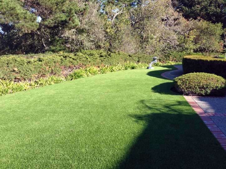 Synthetic Grass Rosemead, California Lawns, Small Front Yard Landscaping