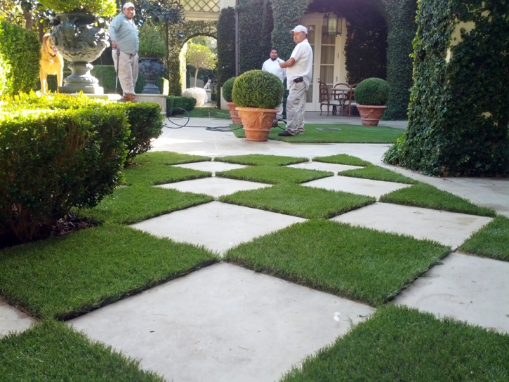 Synthetic Lawn Darwin, California Landscaping Business, Pavers