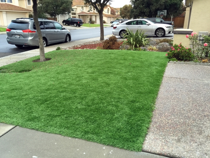 Synthetic Lawn Diamond Bar, California Lawn And Landscape, Front Yard Landscaping Ideas