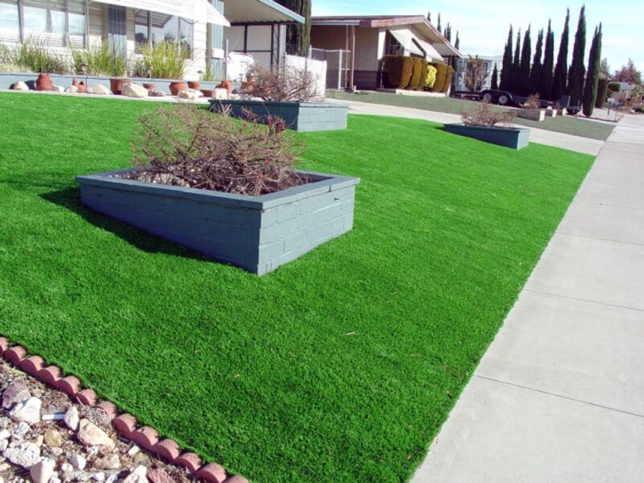 Synthetic Lawn North El Monte, California Gardeners, Landscaping Ideas For Front Yard