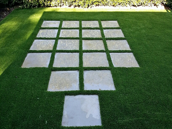 Synthetic Lawn Rancho San Diego, California Lawns, Backyard Landscaping