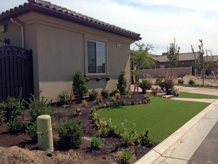 Synthetic Lawn Universal City, California Backyard Playground, Front Yard