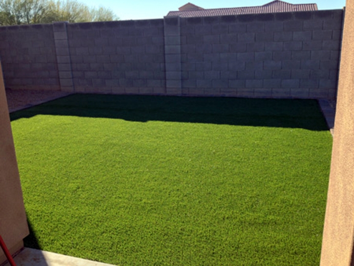 Synthetic Lawn West Puente Valley, California Roof Top, Beautiful Backyards