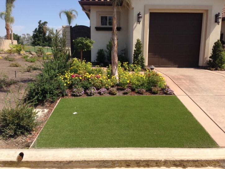 Synthetic Turf Carlsbad, California Landscaping, Small Front Yard Landscaping