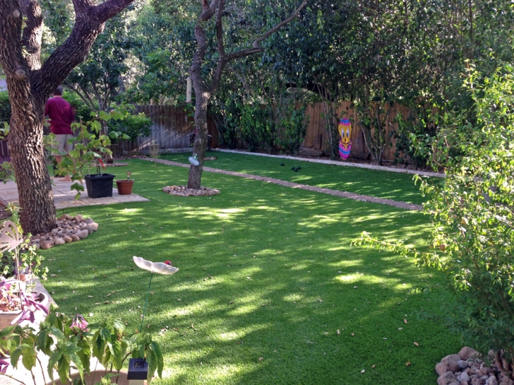 Synthetic Turf East Hemet, California Garden Ideas, Small Backyard Ideas