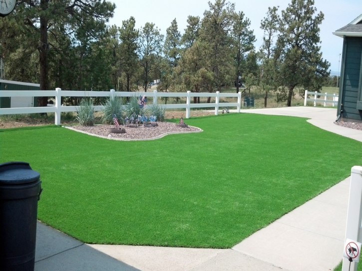 Synthetic Turf , Home And Garden, Front Yard