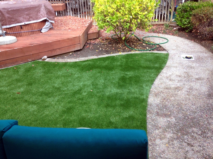 Synthetic Turf La Palma, California Backyard Deck Ideas, Backyard Design