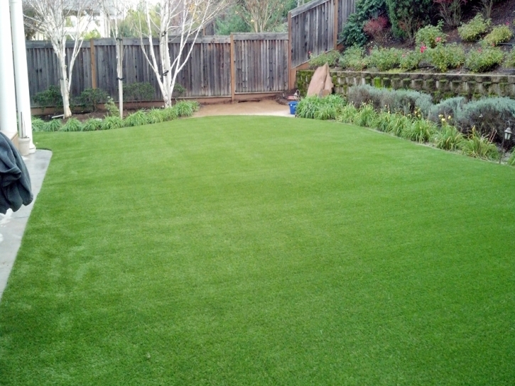 Synthetic Turf Moreno Valley, California Gardeners, Backyard Garden Ideas