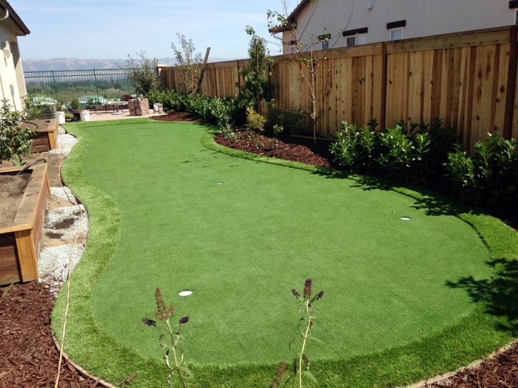 Synthetic Turf Oak Park, California Backyard Putting Green, Backyard Landscape Ideas